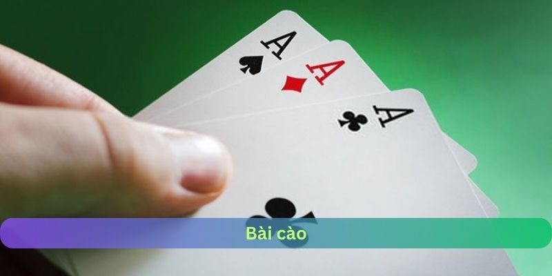 bai-cao-bet88